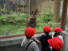 Zoo Senior2